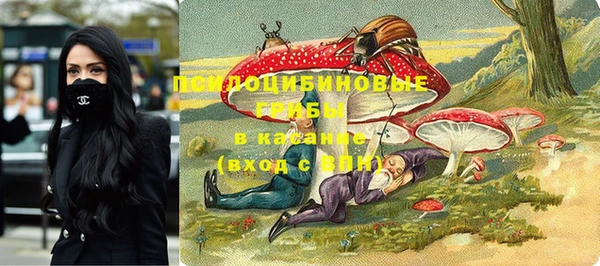 не бодяженный Алексин