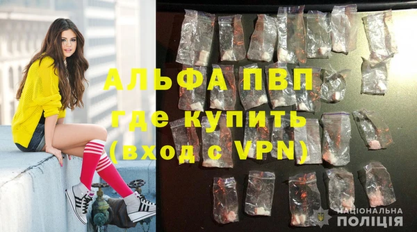 стаф Алексеевка
