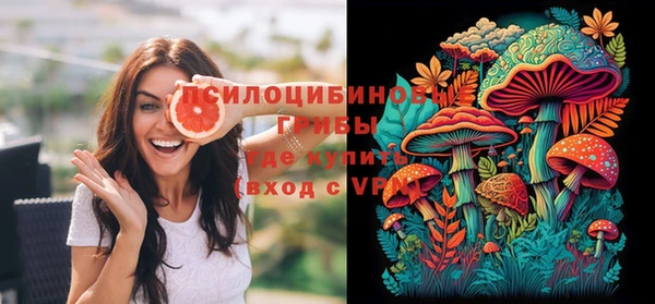 стаф Алексеевка